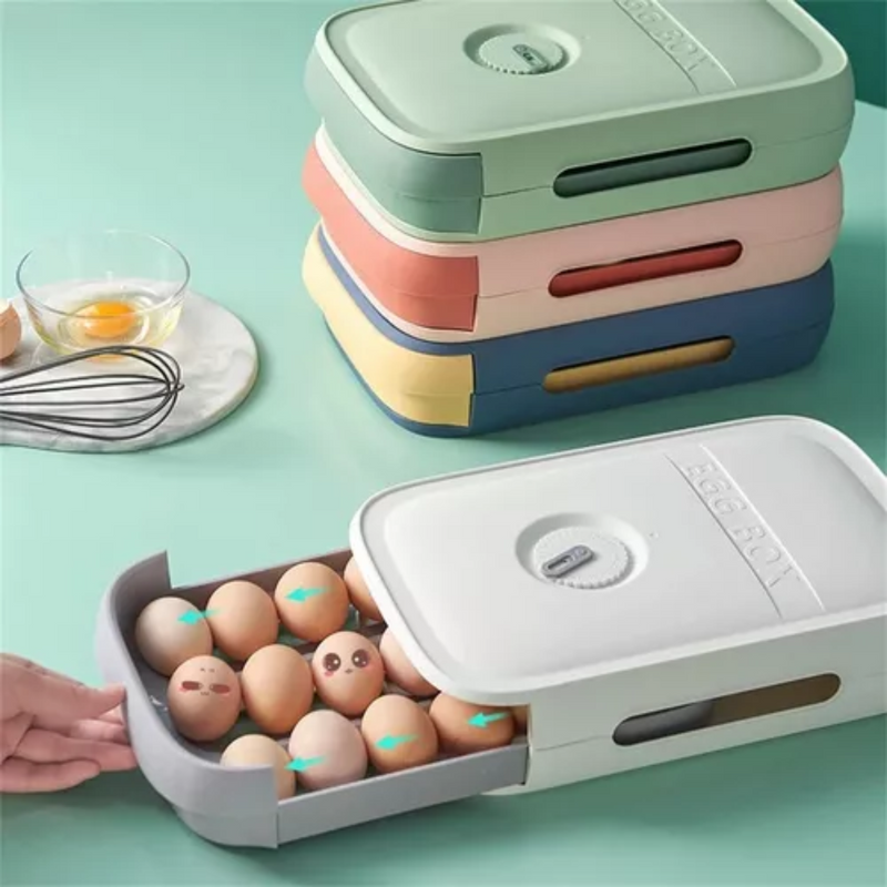 Organizador de huevos 1 nivel slt-4